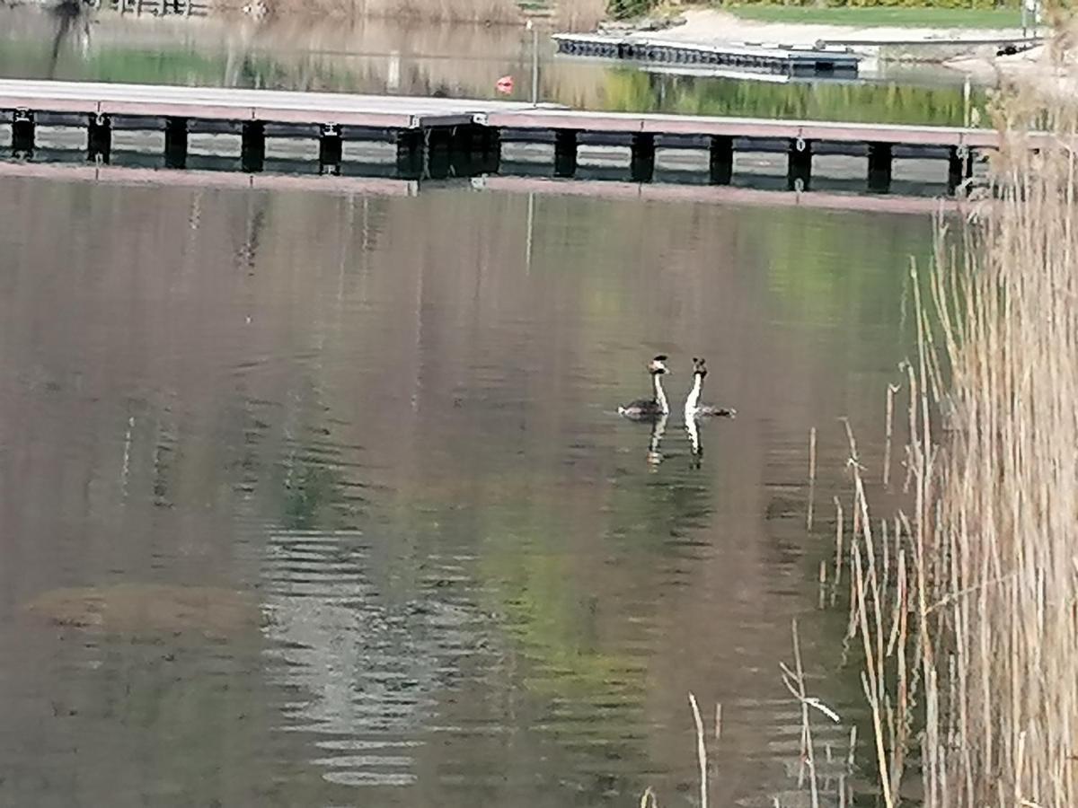 Ca' Dei Cigni Apartman Calceranica al Lago Kültér fotó